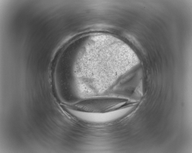 X0000068281164200605121904