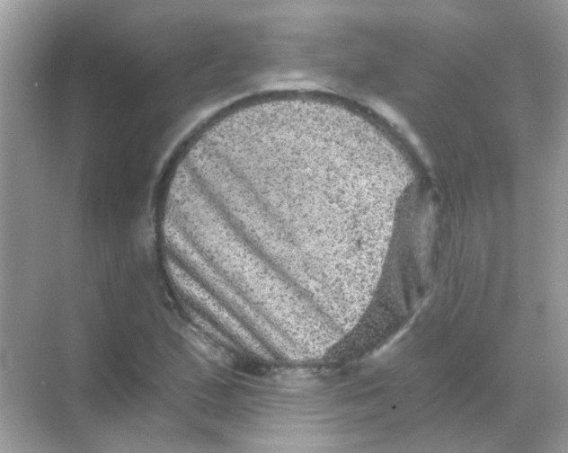 X0000068281167200605121904