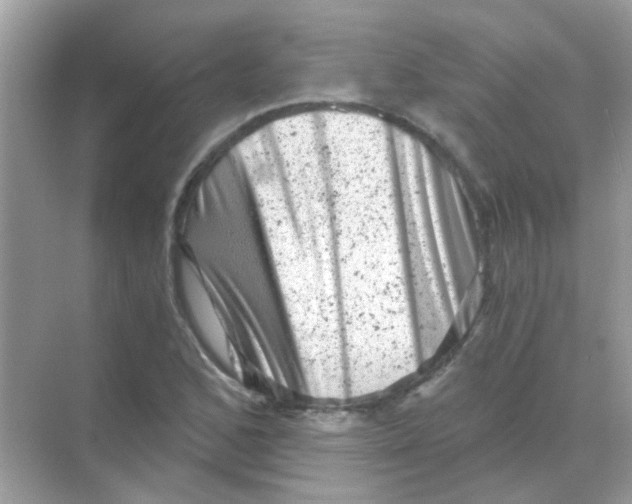 X0000068281168200605121904