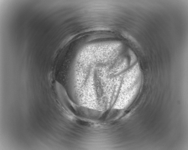 X0000068281169200605121904