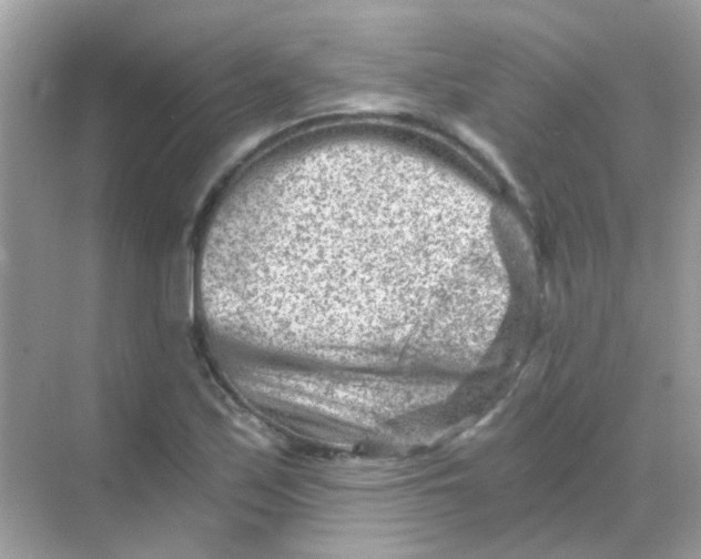 X0000068281171200605121904