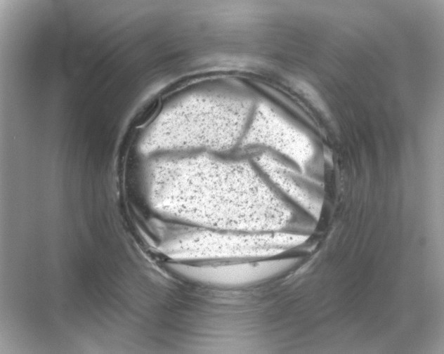 X0000068281172200605121904