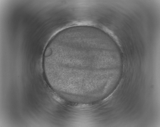 X0000068281174200605121904