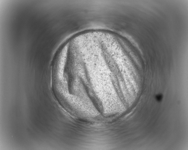 X0000068281175200605121904