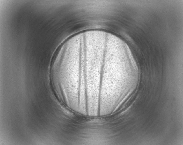 X0000068281178200605121904