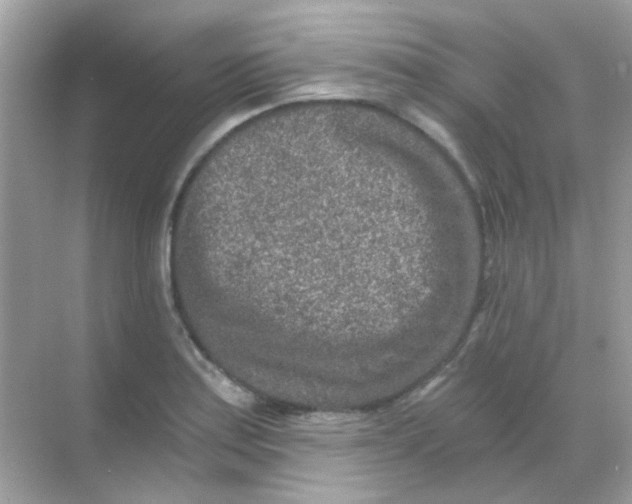 X0000068281179200605121904