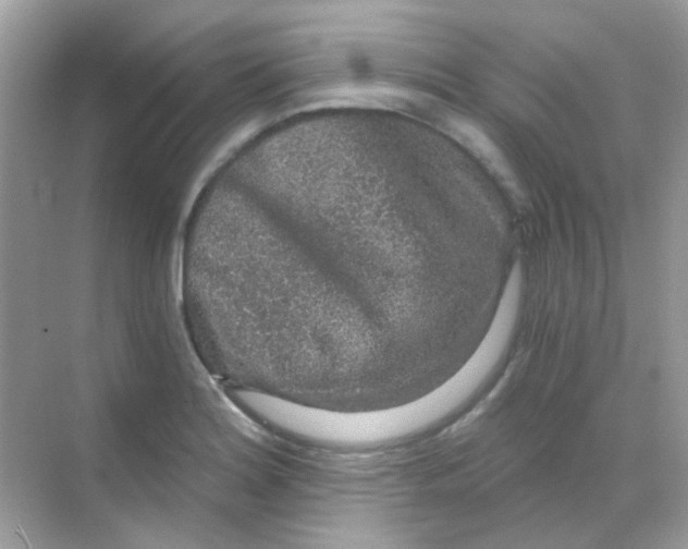 X0000068281180200605121904