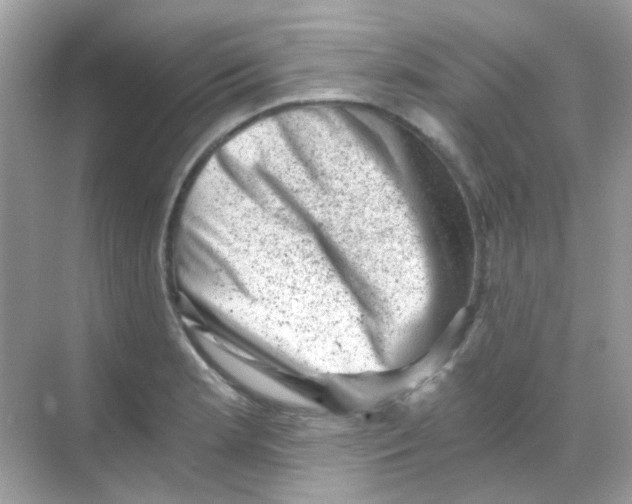 X0000068281181200605121904