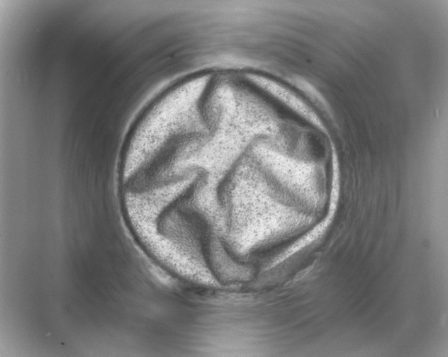 X0000068281183200605121904