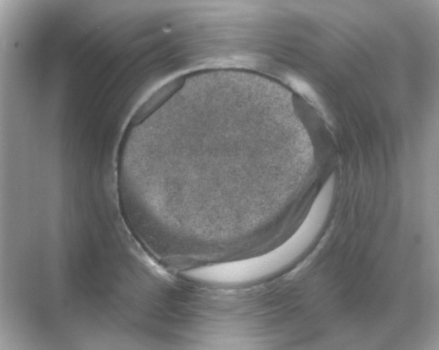 X0000068281184200605121904