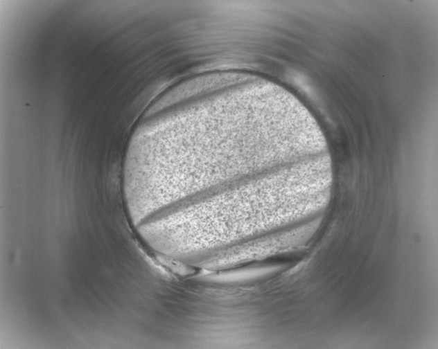 X0000068281185200605121904