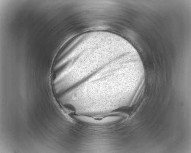 X0000068281186200605121904