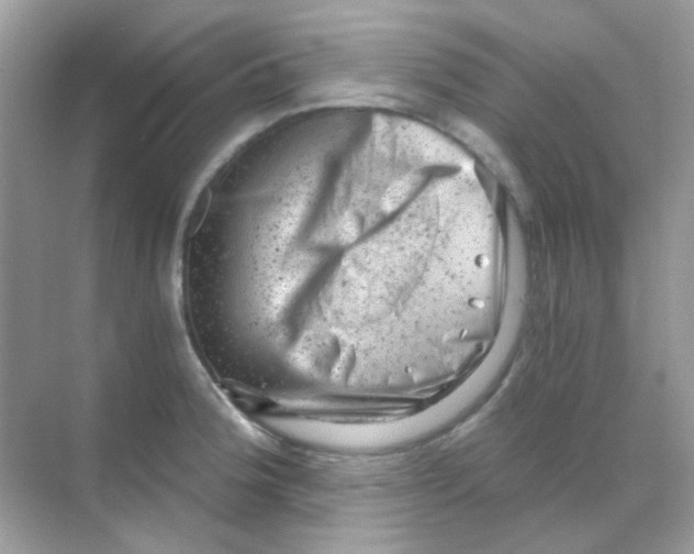 X0000068281188200605121904