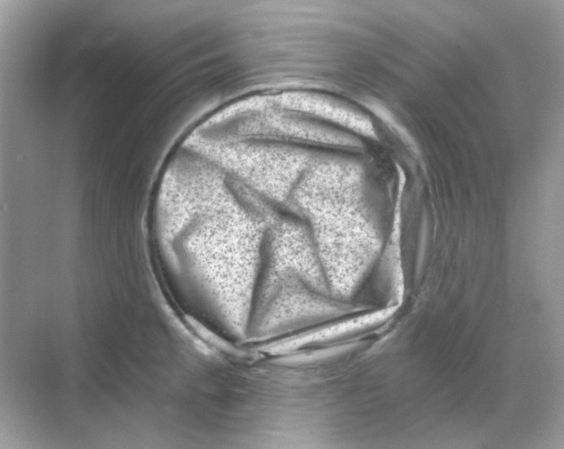 X0000068281189200605121904