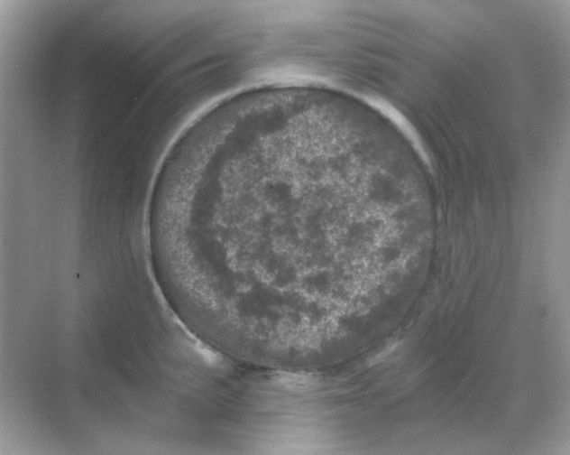 X0000068281191200605121904