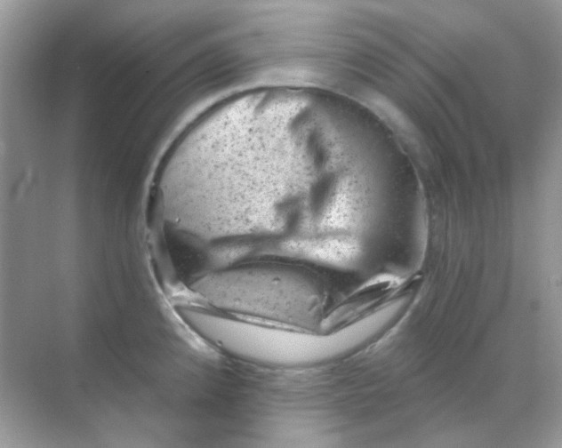 X0000068281192200605121904