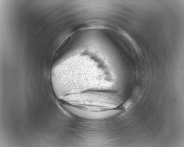 X0000068281193200605121904