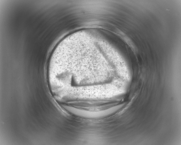 X0000068281196200605121904