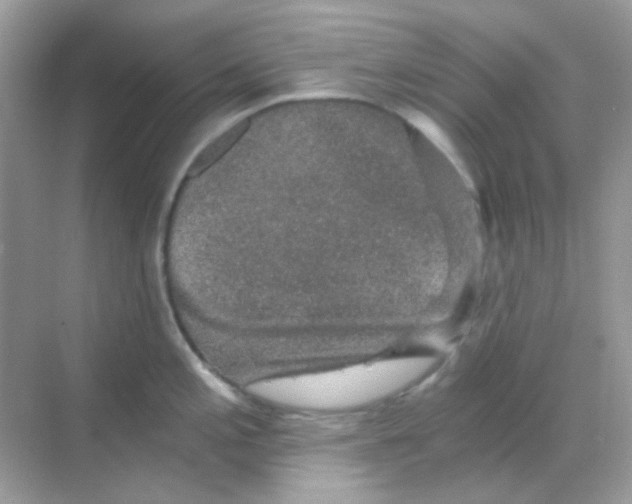 X0000068281197200605121904