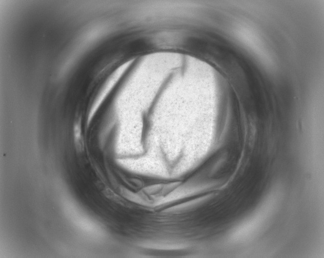 X0000068281198200605121904