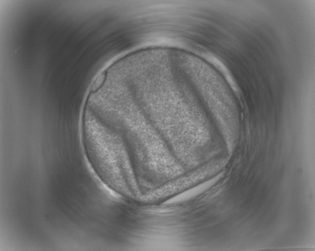 X0000068281199200605121904