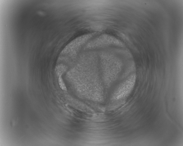 X0000068281201200605121903