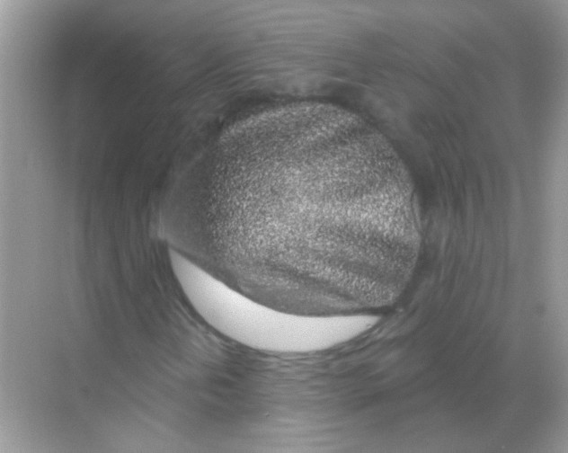 X0000068281202200605121903