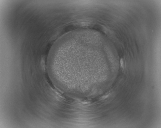 X0000068281203200605121903