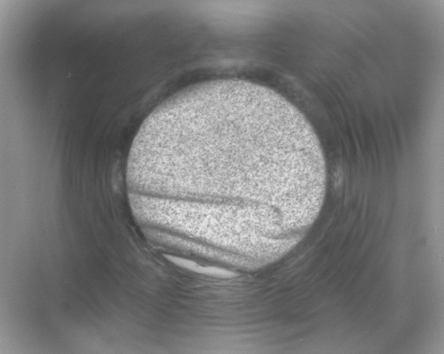 X0000068281204200605121903