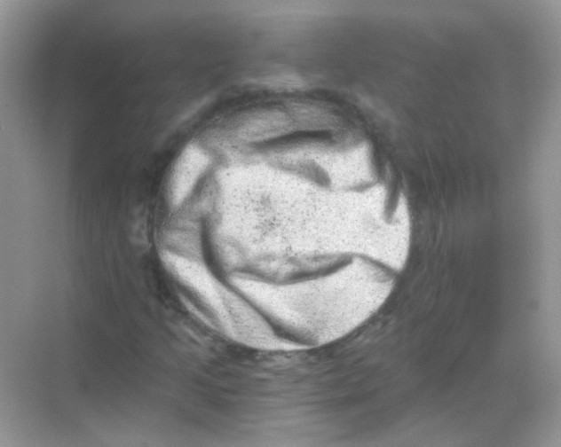 X0000068281205200605121903