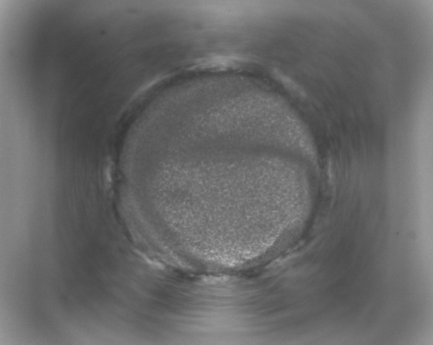 X0000068281206200605121903