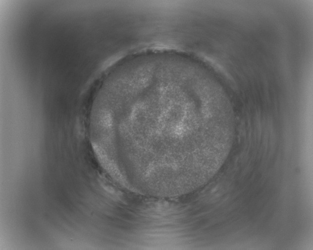 X0000068281207200605121903