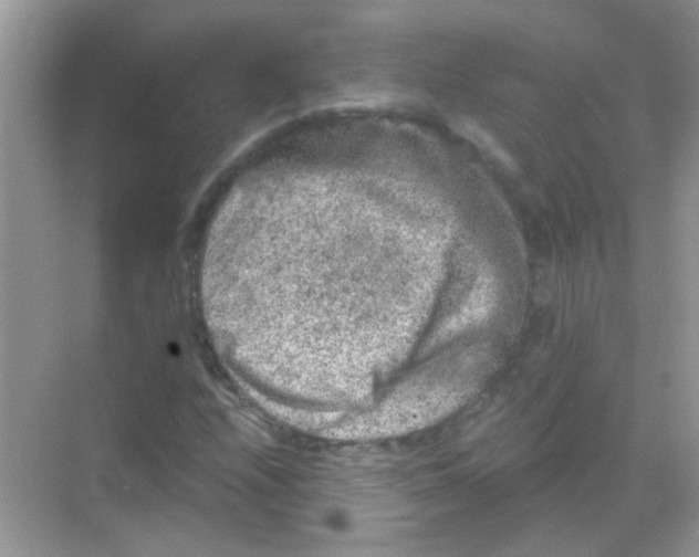 X0000068281208200605121903