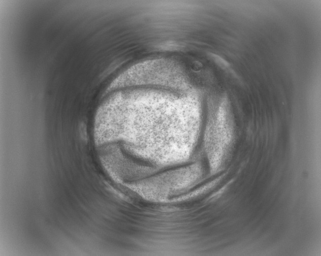 X0000068281209200605121903