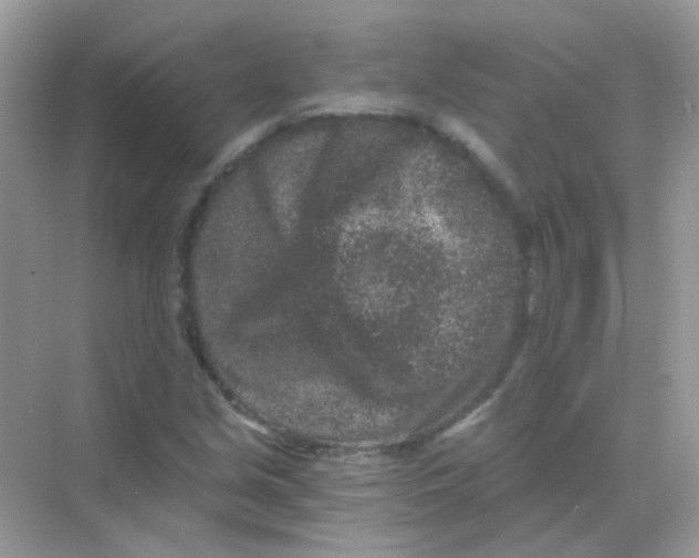 X0000068281213200605121903