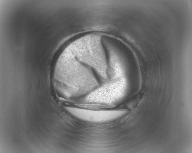 X0000068281214200605121903