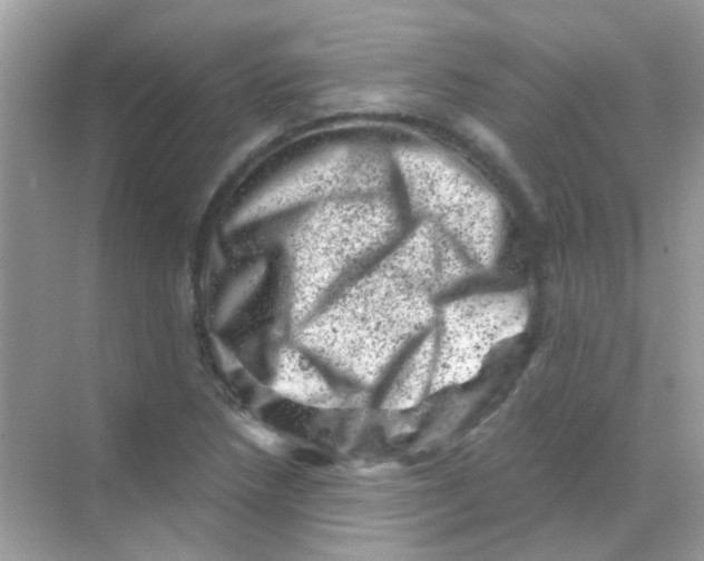 X0000068281218200605121903