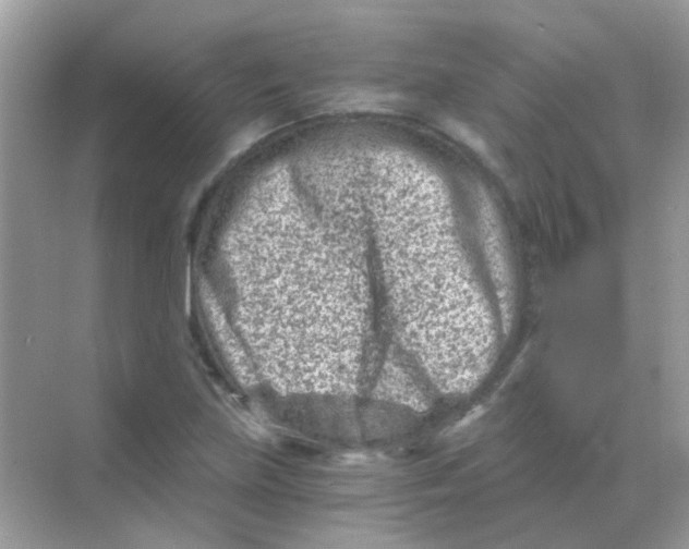 X0000068281219200605121903