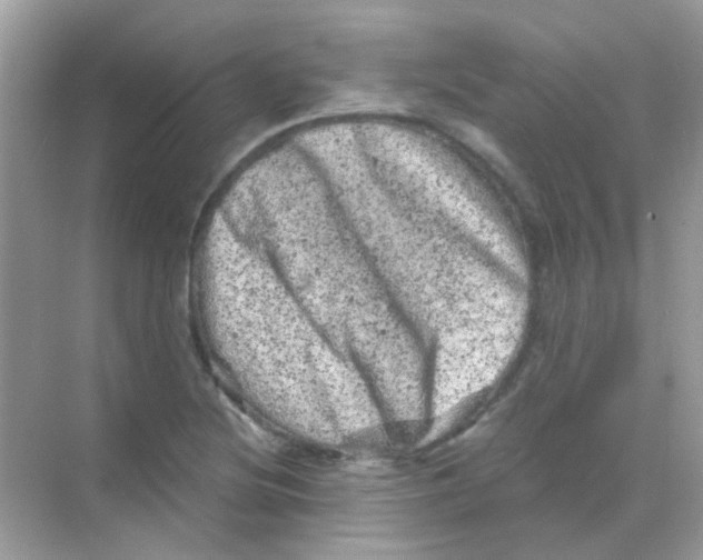 X0000068281220200605121903