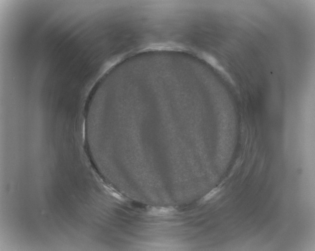 X0000068281221200605121903