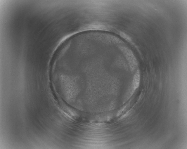 X0000068281222200605121903