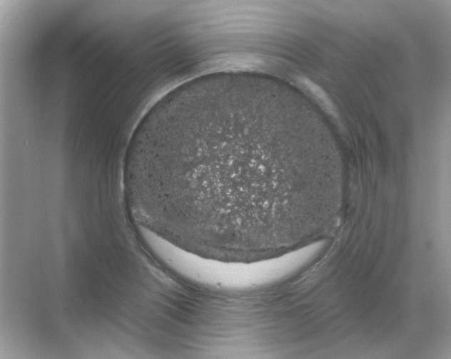 X0000068281226200605121903