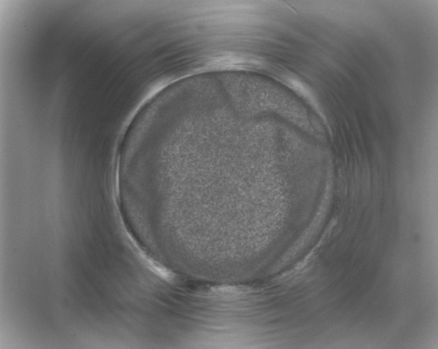 X0000068281227200605121903