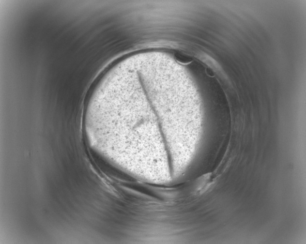 X0000068281228200605121903