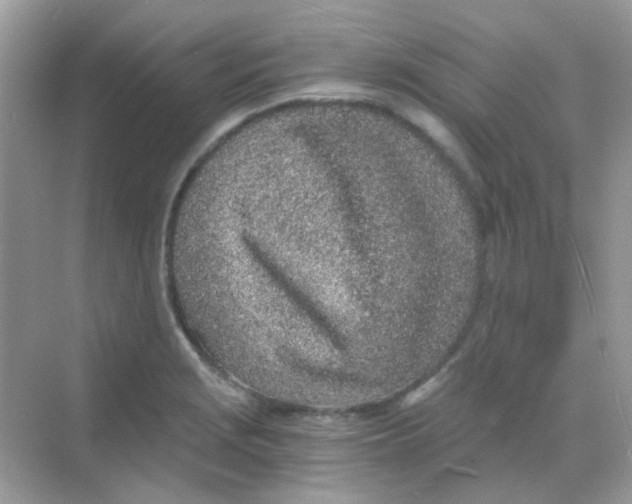 X0000068281229200605121903