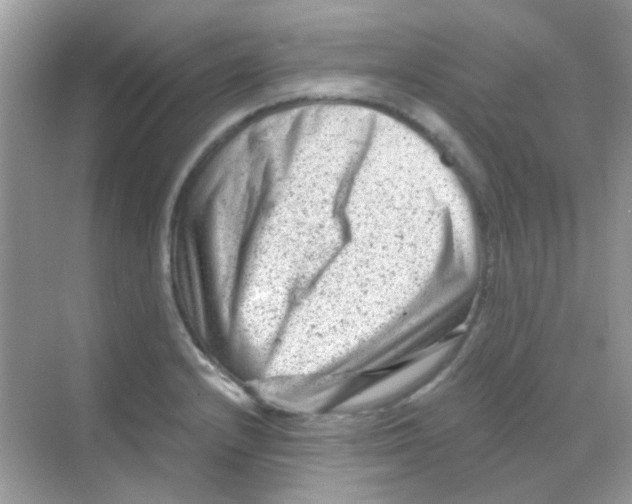 X0000068281232200605121903