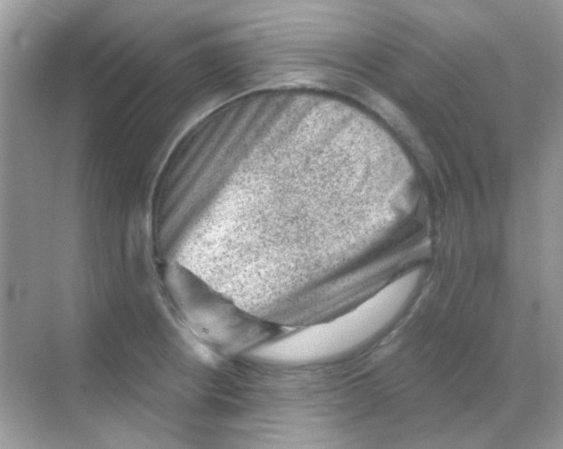 X0000068281234200605121903