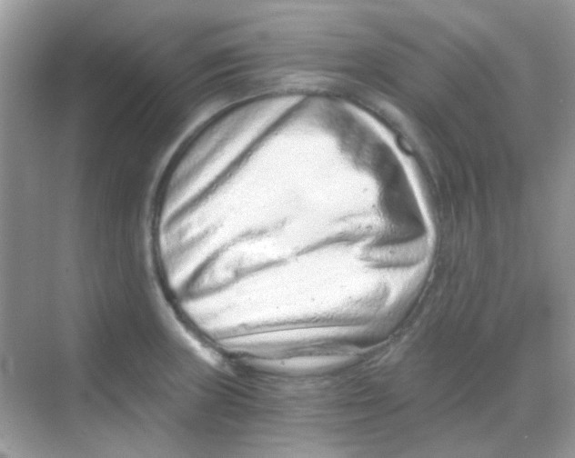 X0000068281235200605121903