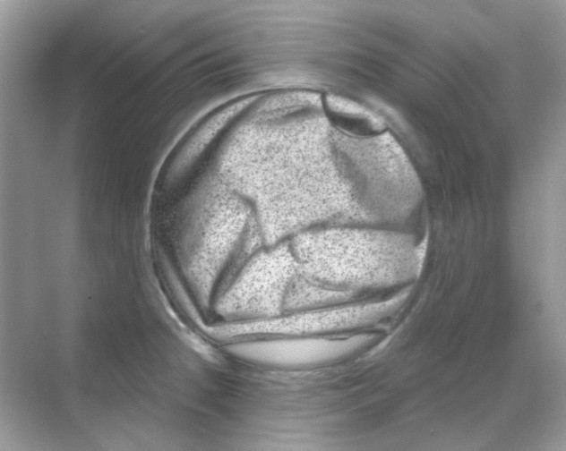 X0000068281236200605121903