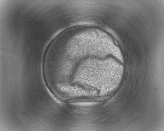 X0000068281237200605121903